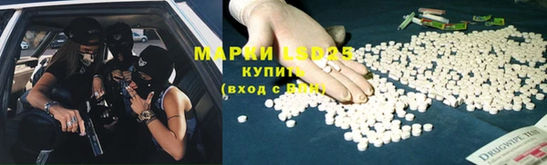 ГАЛЛЮЦИНОГЕННЫЕ ГРИБЫ Няндома