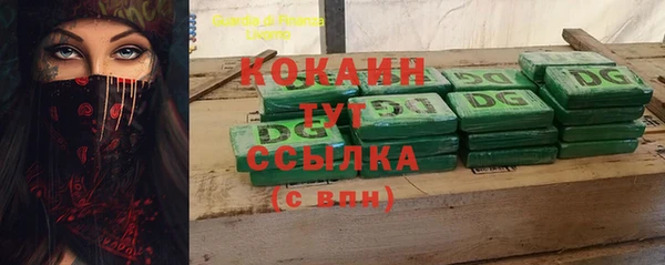 ГАЛЛЮЦИНОГЕННЫЕ ГРИБЫ Няндома