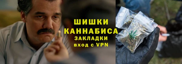 ГАЛЛЮЦИНОГЕННЫЕ ГРИБЫ Няндома