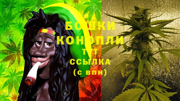 ГАЛЛЮЦИНОГЕННЫЕ ГРИБЫ Няндома