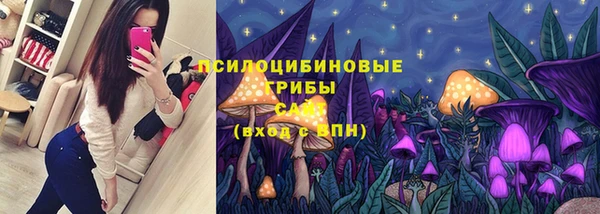 ГАЛЛЮЦИНОГЕННЫЕ ГРИБЫ Няндома