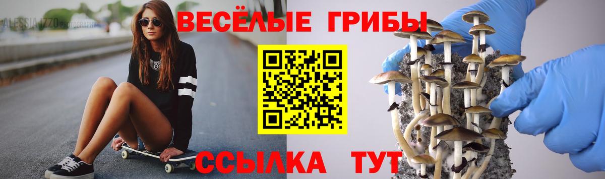 Псилоцибиновые грибы MAGIC MUSHROOMS Краснокамск